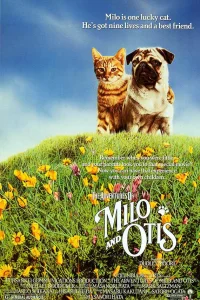 Приключения Майло и Отиса 